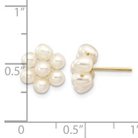 14K Yellow Gold 3-4mm White Egg-shape Freshwater Cultured Pearl Flower Post Earrings view 4