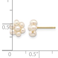 14K Yellow Gold 2-3mm White Egg-shape Freshwater Cultured Pearl Flower Post Earrings view 4