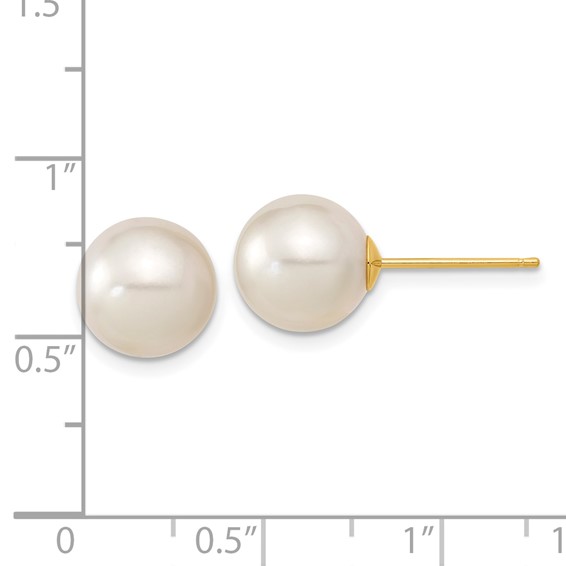 Gold Saltwater Cultured Pearl Earrings