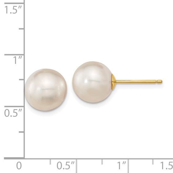 Gold Saltwater Cultured Pearl Earrings