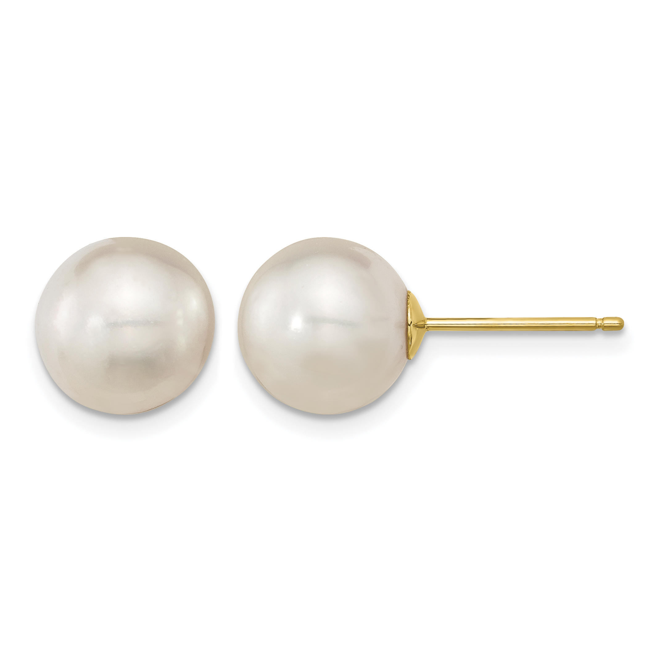 14k 10-11mm White Round South Sea Saltwater Cultured Pearl Post Earrings (XF469E)