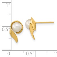 14K Yellow Gold 5-6mm White Button Freshwater Cultured Pearl Post Earrings view 4