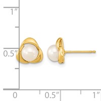 14K Yellow Gold 5-6mm White Button Freshwater Cultured Pearl Post Earrings view 4
