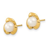 14K Yellow Gold 5-6mm White Button Freshwater Cultured Pearl Flower Post Earrings view 2