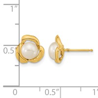 14K Yellow Gold 5-6mm White Button Freshwater Cultured Pearl Flower Post Earrings view 4
