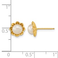 14K Yellow Gold 5-6mm White Button Freshwater Cultured Pearl Flower Post Earrings view 4