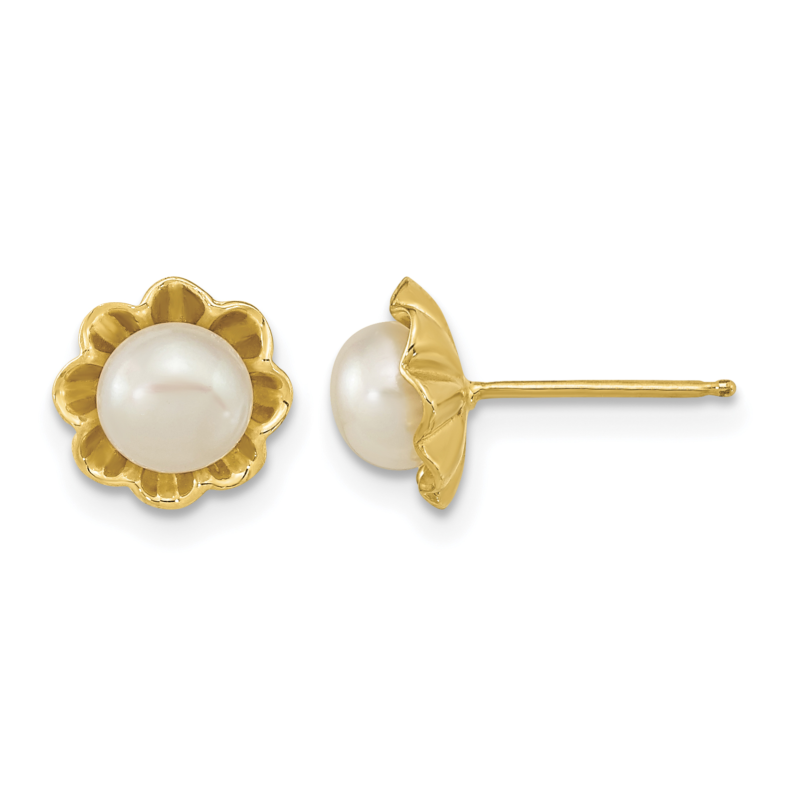 14k 5-6mm White Button Freshwater Cultured Pearl Post Earrings (XF614E)