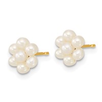 14K Yellow Gold 2-3mm White Button Freshwater Cultured Pearl Flower Post Earrings view 2