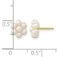 14K Yellow Gold 2-3mm White Button Freshwater Cultured Pearl Flower Post Earrings view 4