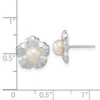 14K White Gold 5-6mm White Button Freshwater Cultured Pearl Flower Post Earrings view 4