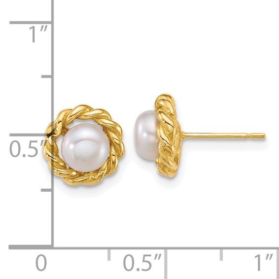 14k Polished 5-6mm Button White Freshwater Cultured Pearl Twisted Edge Post Earrings