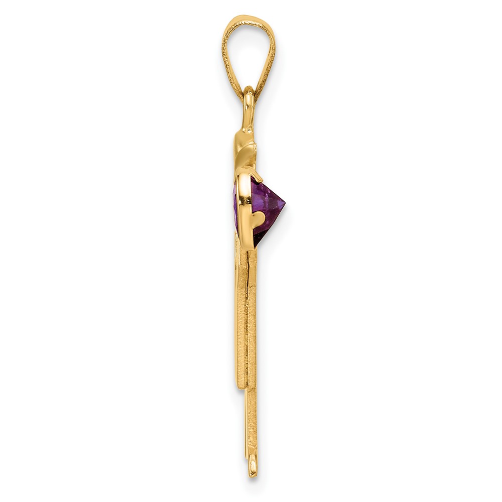 14k Boy with CZ February Birthstone Charm (XK265FEB)