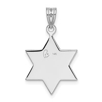 14K White Gold Star of David Pendant view 3