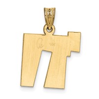 14K White Gold Solid Satin Chai Charm view 3