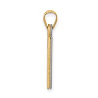 14K Two-Tone Solid Satin Chai Charm view 2