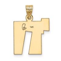 14K Two-Tone Solid Satin Chai Charm view 3