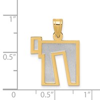 14K Two-Tone Solid Satin Chai Charm view 4