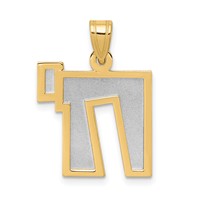 14K Two-Tone Solid Satin Chai Charm view 1