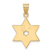 14K Two-Tone Star of David Pendant view 4