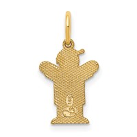 14K Yellow Gold the Kids Mini Boy Love Charm view 3