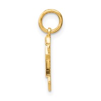 14K Yellow Gold the Kids Mini Boy Joy Charm view 2