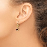14K 5mm Yellow Gold Round Rhodolite Garnet Bezel Leverback Dangle Earrings view 3