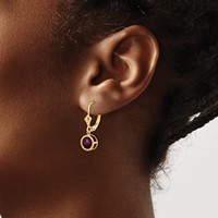 14K 6mm Yellow Gold Round Rhodolite Garnet Bezel Leverback Dangle Earrings view 3