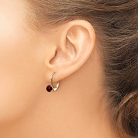 14K 5mm Yellow Gold Round Garnet Leverback Earrings view 3