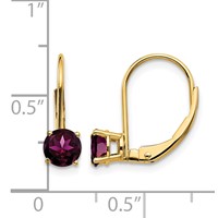 14K 5mm Yellow Gold Round Rhodolite Garnet Leverback Earrings view 4
