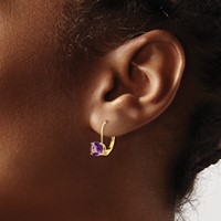 14K 6mm Yellow Gold Round Amethyst Leverback Earrings view 3