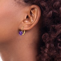 14K 7mm Yellow Gold Round Amethyst Leverback Earrings view 3