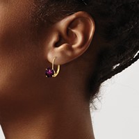 14K 7mm Yellow Gold Round Rhodolite Garnet Leverback Earrings view 3