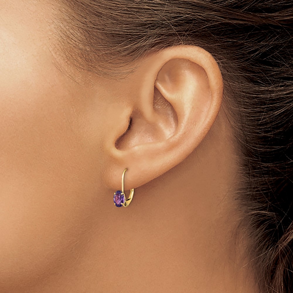 14k 6x4mm Oval Amethyst Leverback Earrings (XLB114AM)