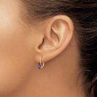 14K Yellow Gold 6x4mm Oval Amethyst Leverback Earrings view 3