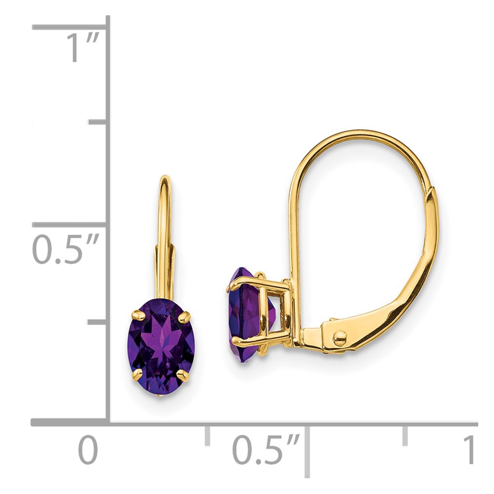 14k 6x4mm Oval Amethyst Leverback Earrings (XLB114AM)