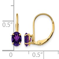 14K Yellow Gold 6x4mm Oval Amethyst Leverback Earrings view 4