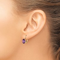 14K Yellow Gold 8x 6mm Oval Amethyst Leverback Earrings view 3