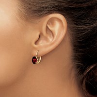 14K Yellow Gold 8x 6mm Oval Garnet Leverback Earrings view 3