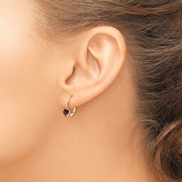 14K 5mm Yellow Gold Heart Rhodolite Garnet Leverback Earrings view 3