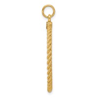 14K Yellow Gold Patterned with Rope Edge.013 Gauge Engravable Round 34x 28mm Disc with Satin Back view 2