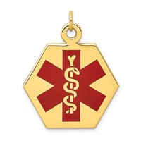 14K 26.5mm Yellow Gold Hexagon Red Enameled Medical Jewelry Pendant view 1