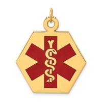 14K 22.5mm Yellow Gold Hexagon Red Enameled Medical Jewelry Pendant view 1
