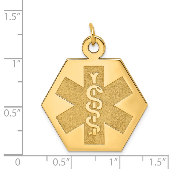 14k 22.5mm Hexagon Non-enameled Medical Jewelry Pendant