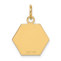 14K 15mm Yellow Gold Hexagon Red Enameled Medical Jewelry Pendant view 4