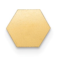 14K 6mm Yellow Gold Hexagon Non-enameled Attachable Medical Jewelry Emblem view 4