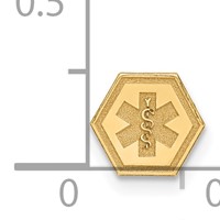 14K 6mm Yellow Gold Hexagon Non-enameled Attachable Medical Jewelry Emblem view 3