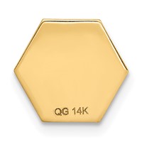 14K 9.5mm Yellow Gold Hexagon Non-enameled Attachable Medical Jewelry Emblem view 4