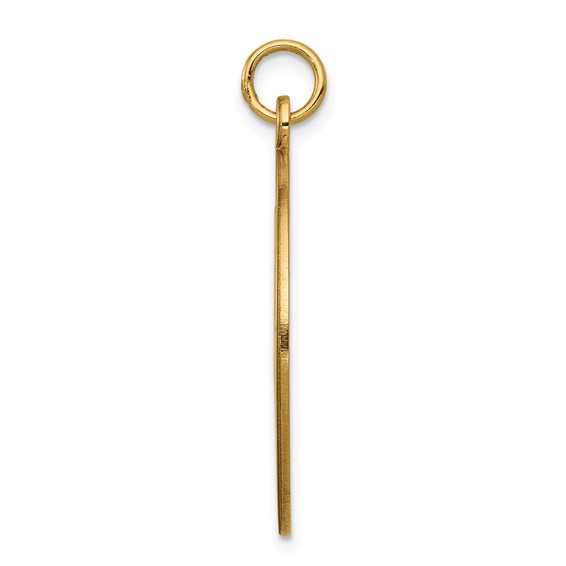 14k 25mm Round Non-enameled Medical Jewelry Pendant