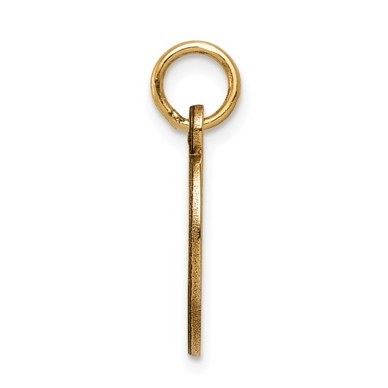 14k 16x9.5mm Oval Non-enameled Medical Jewelry Pendant