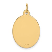 14K Yellow Gold 23x 16.5mm Oval Non-enameled Medical Jewelry Pendant view 3